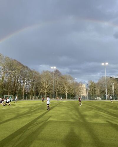 Wellington Rainbow 2